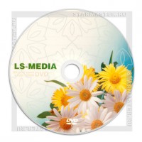 Диск LS-MEDIA DVD-R 4,7Gb 16x bulk 50 «Цветы» Ромашки