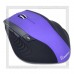 Мышь беспроводная SmartBuy 613AG, AAx2, Purple/Black
